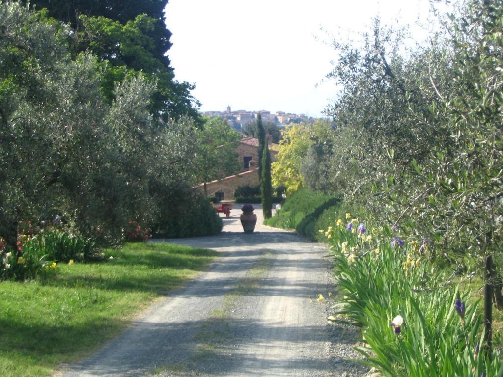 Podere La Casetta - Casa Di Campagna Montaione Exterior photo